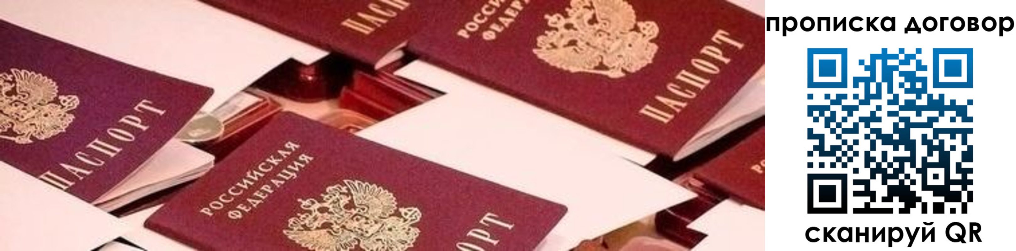 прописка 2025 в Звенигово